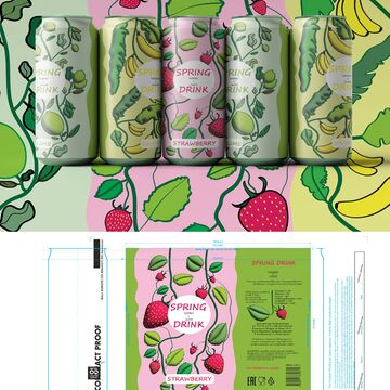 SPRING DRINK - Packaging design