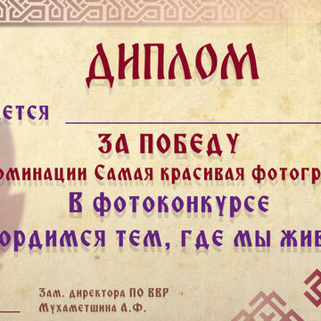 Дизайн грамот