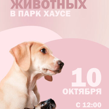 Плакат для выставки животных
