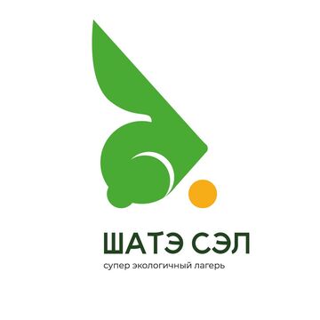Логотип для лагеря