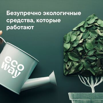 Дизайн листовки для выставки эко продукции