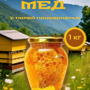 мед