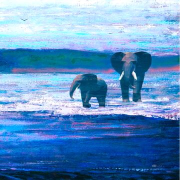 Elephants