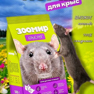 инфографика