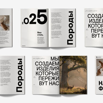 Дизайн журнала