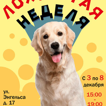 Плакат