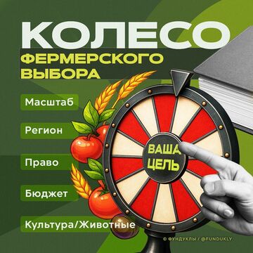 Баннеры-иллюстрации