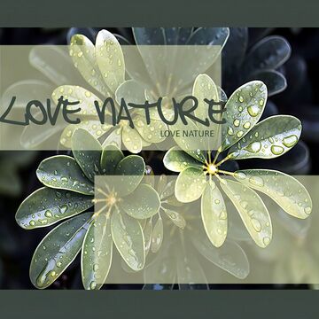 беннер-цветочного магазина