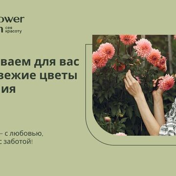 Дизайн баннера