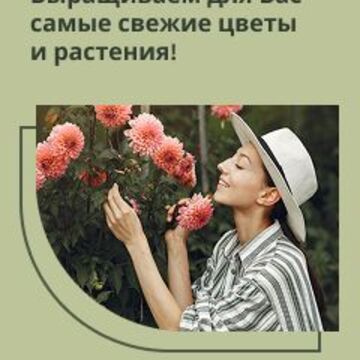 Дизайн баннера для Яндекс