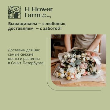 Дизайн поста