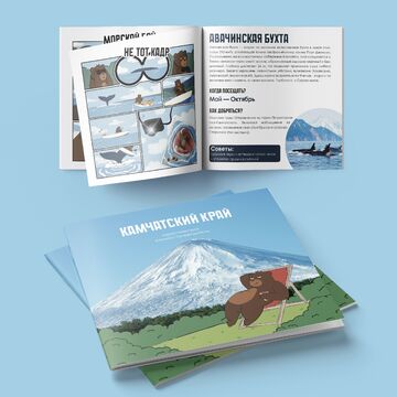 Разработка дизайна туристического путеводителя в формате комикса