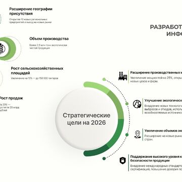 Инфографика