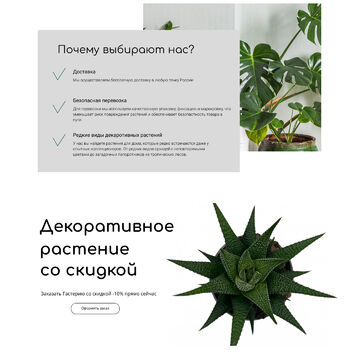 Разработка дизайна сайта vмагазина растений