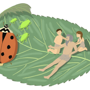 Книжная иллюстрация