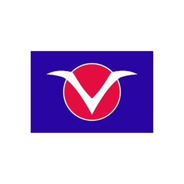 Флаг парусной команды