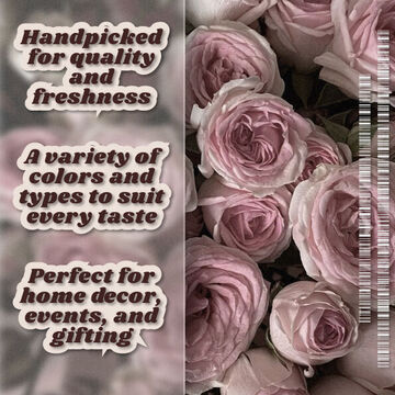 Рекламная карточка