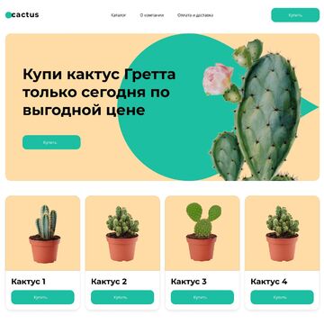 Первый экран лендинга