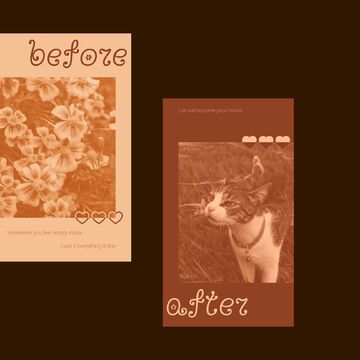 Пост для приюта