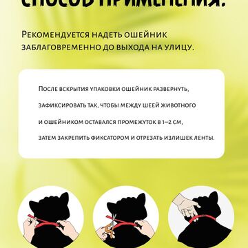 карточка WB( Я работаю над созданием векторной графики)