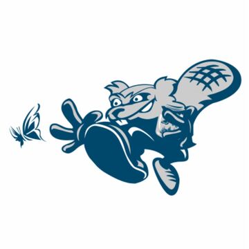 Бобр Вектор