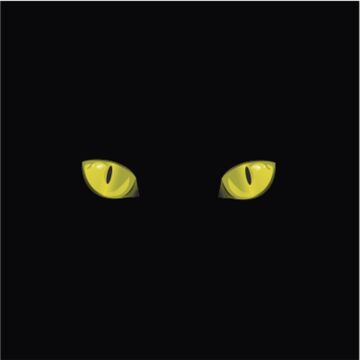 Кошка во Тьме