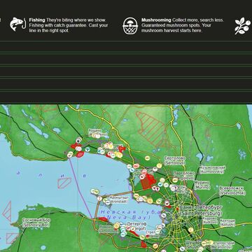 Разработка личного кабинета WildTracks.pro