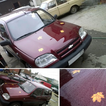 Листочки