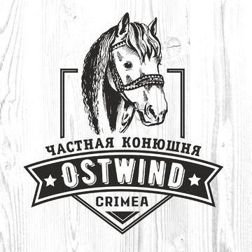 Логотип частной конюшни с авторским рисунком