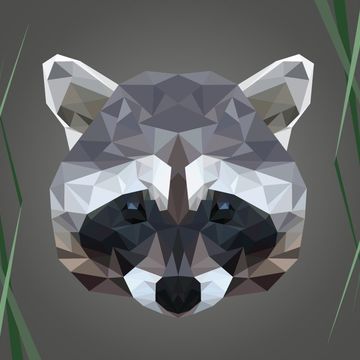 Low poly coon