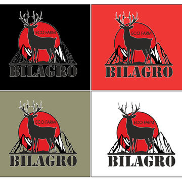 Проект логотипа для BILAGRO