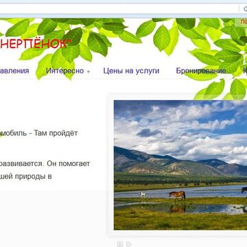 nerpenok38.ru + группа вконтакте