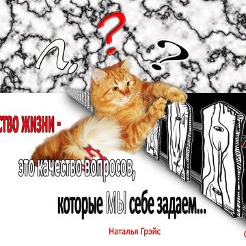 открытка