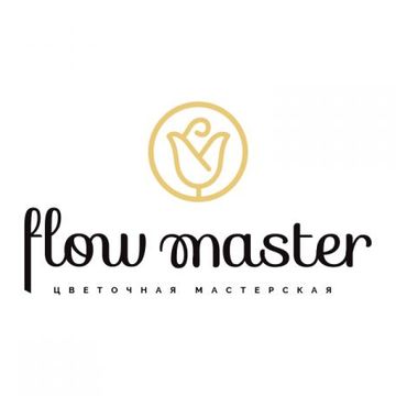 Логотип для Flow Master