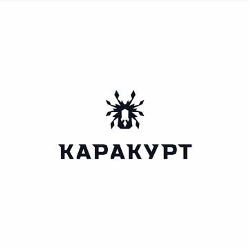 Малые ракетные корабли проекта 22800