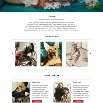 Дизайн сайта для фонда помощи бездомным животным