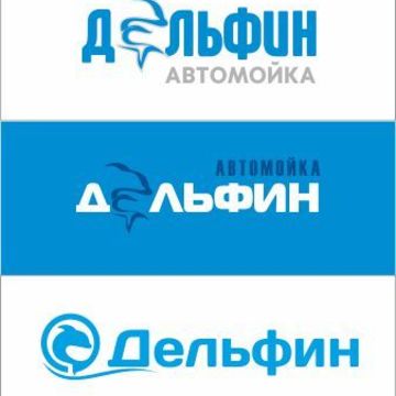 Логотип Автомойка Дельфин