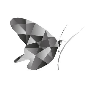 Low Poly butterfly