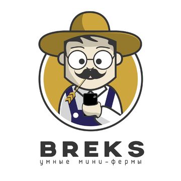Лого для Breks