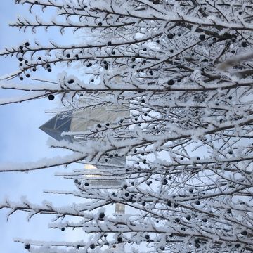 Winter fairy story in Astana