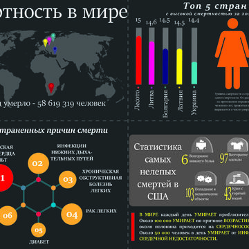 Инфографика