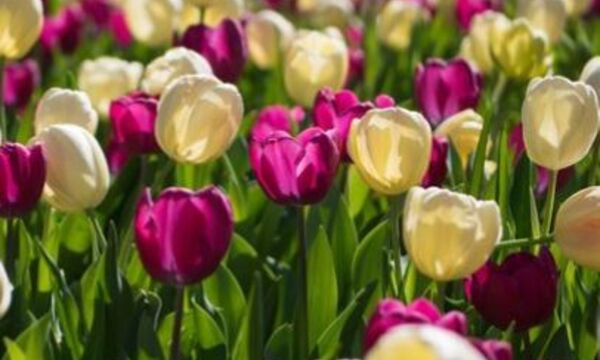 Красивые тексты!