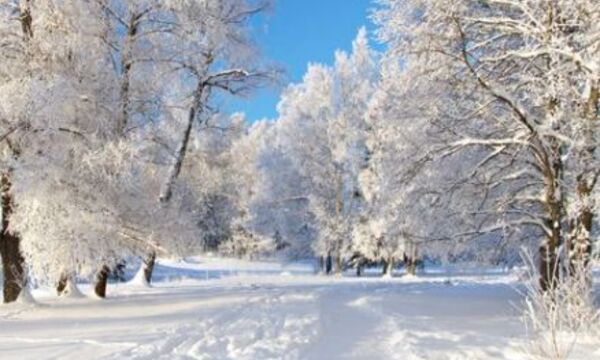 Ищем заказчиков!