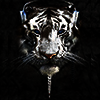 Сергей Лифанов [White_Tiger]