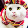 Илья Котов