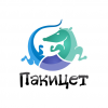 Пакицет Веб-студия