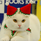 Анна Данилова