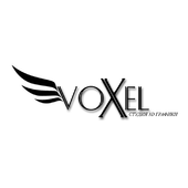 Voxel by