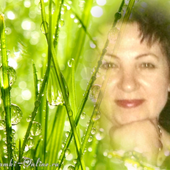boutique_398034