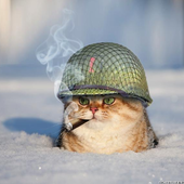 Валентина Кузнецова